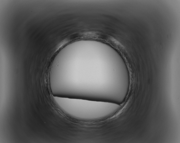 X0000086031401200703230944