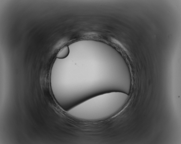X0000086031403200703230944