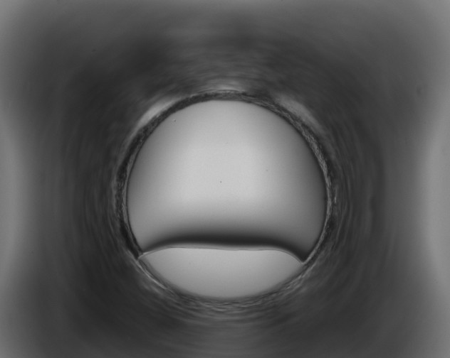 X0000086031404200703230944