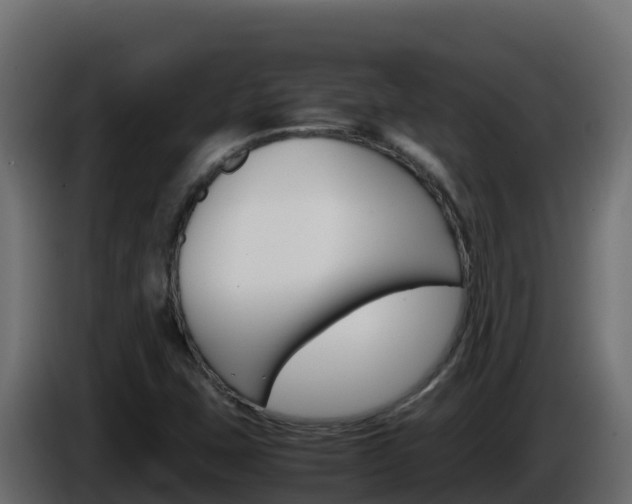 X0000086031407200703230944