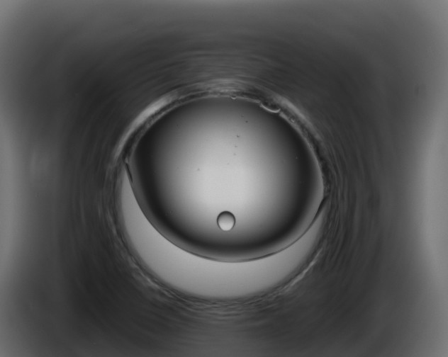 X0000086031410200703230944