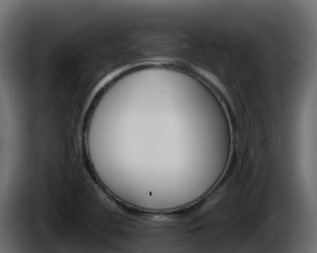 X0000086031412200703230944