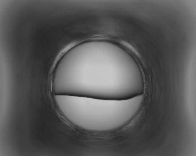 X0000086031413200703230944