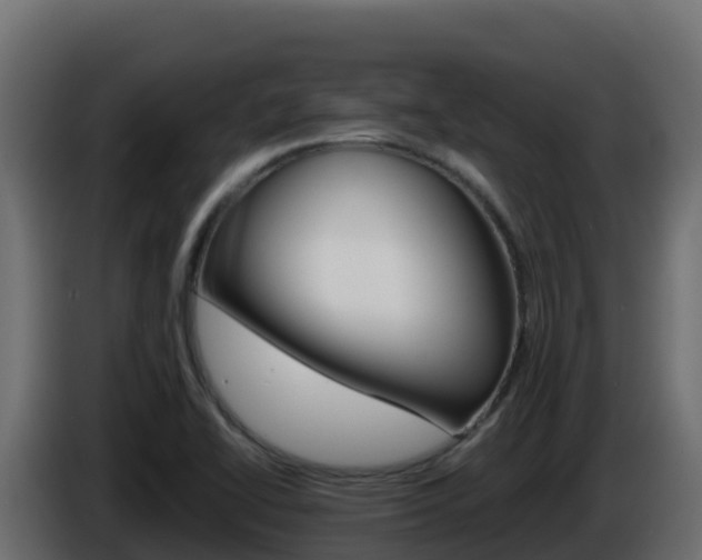X0000086031414200703230944