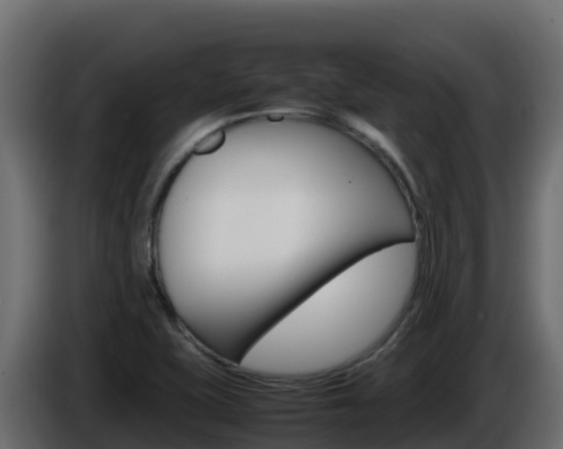 X0000086031415200703230944
