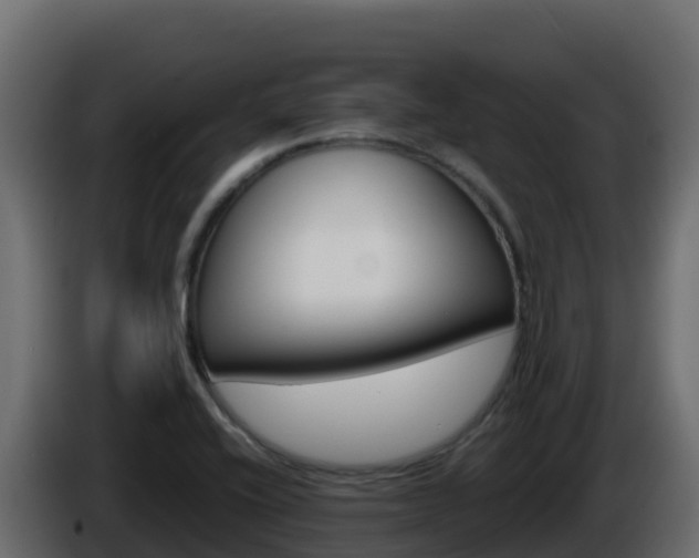X0000086031416200703230944