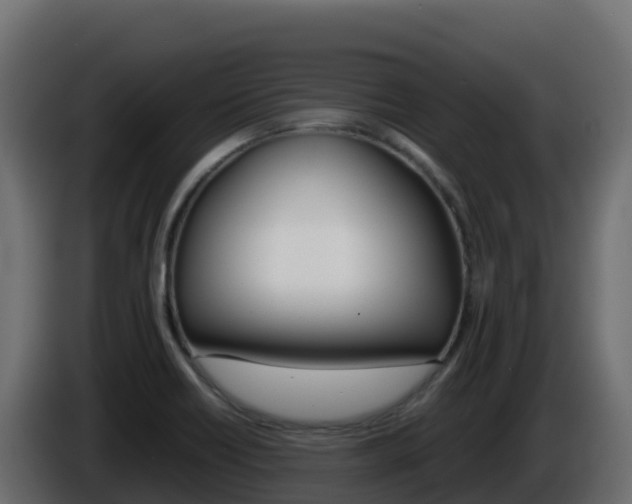 X0000086031418200703230944