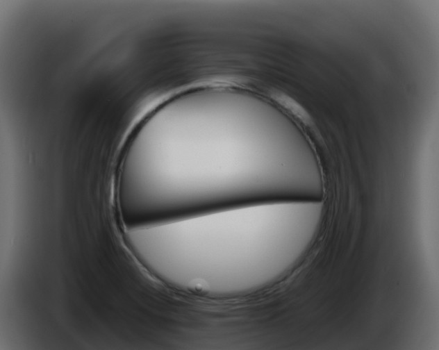 X0000086031420200703230944