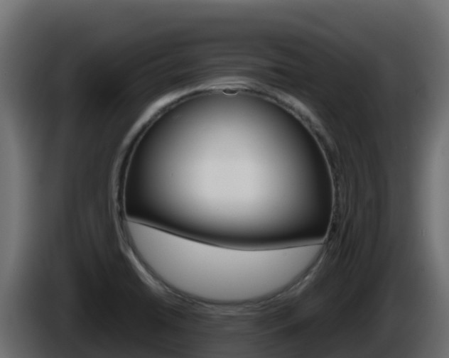 X0000086031422200703230944
