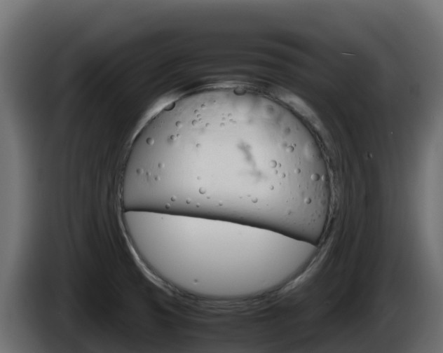 X0000086031425200703230945