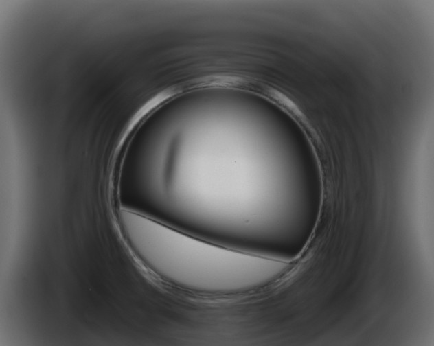 X0000086031426200703230945