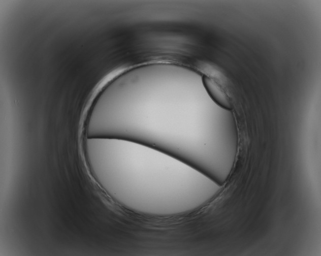 X0000086031427200703230945