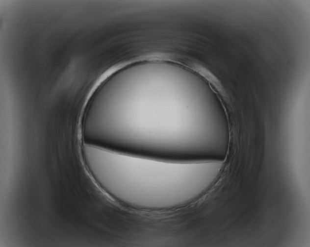 X0000086031428200703230945
