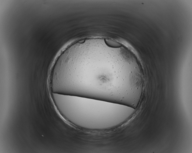 X0000086031429200703230945