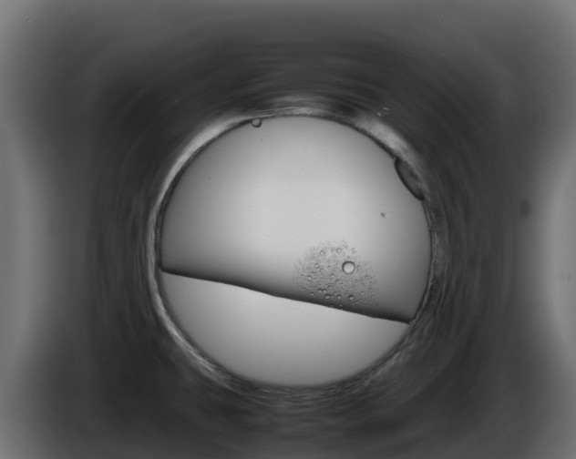 X0000086031431200703230945