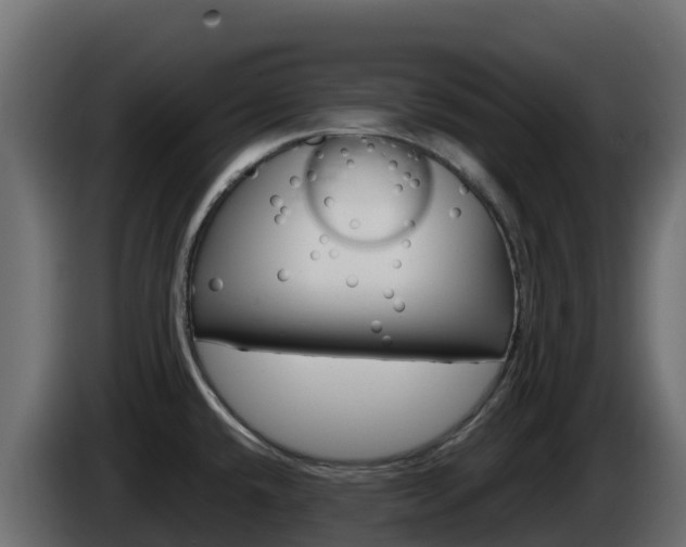 X0000086031432200703230945
