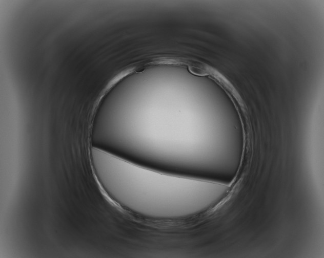 X0000086031433200703230945