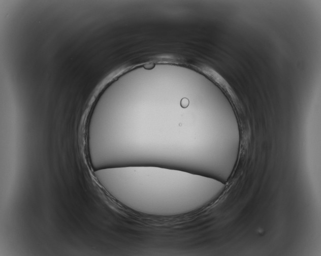 X0000086031435200703230945
