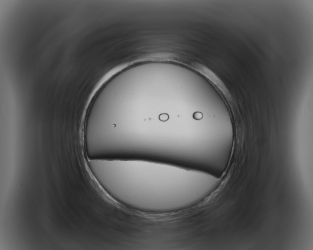 X0000086031436200703230945