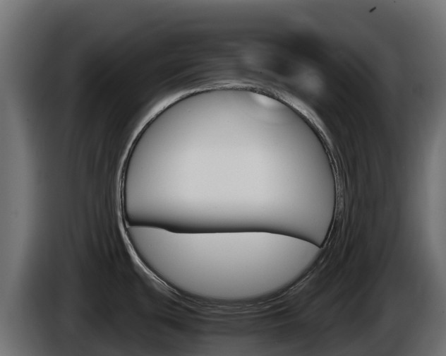 X0000086031439200703230945