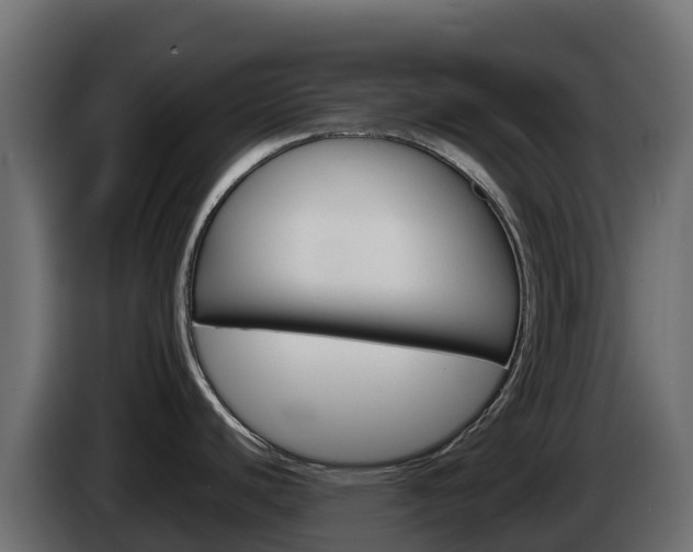 X0000086031440200703230945