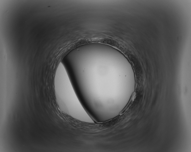 X0000086031441200703230944