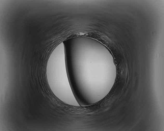 X0000086031442200703230944