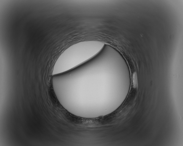 X0000086031443200703230944