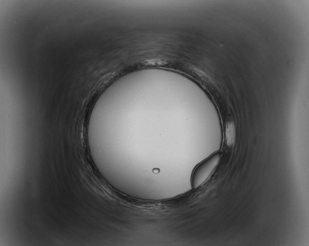 X0000086031444200703230944