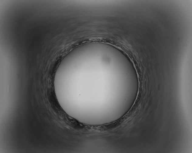 X0000086031445200703230944