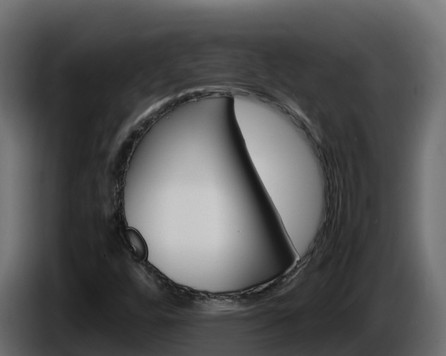 X0000086031448200703230944