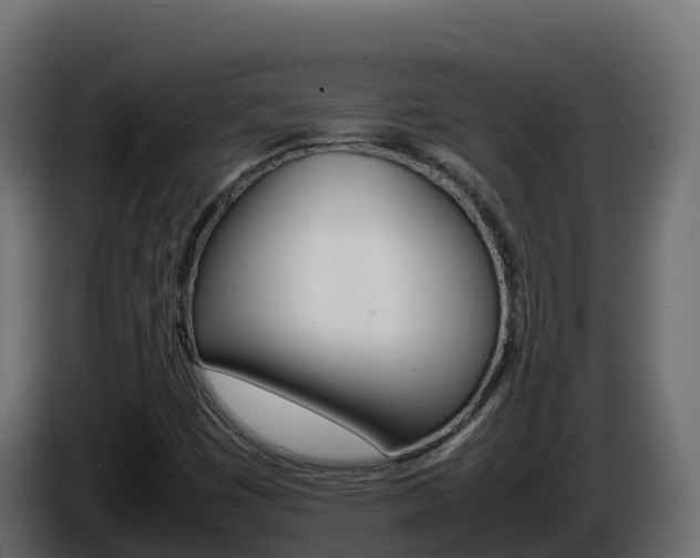 X0000086031449200703230944