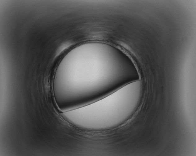 X0000086031450200703230944