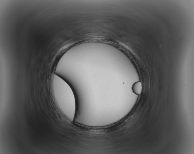 X0000086031451200703230944