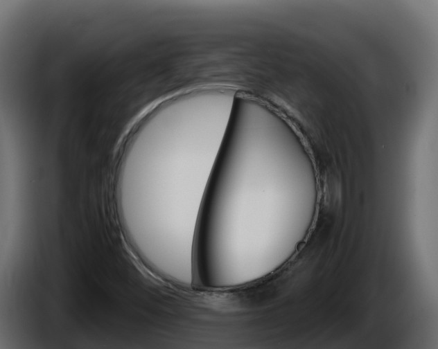 X0000086031452200703230944