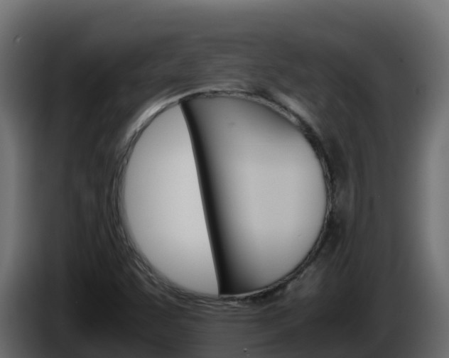 X0000086031455200703230944