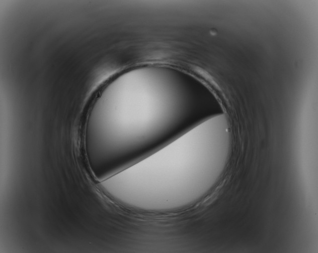 X0000086031458200703230944
