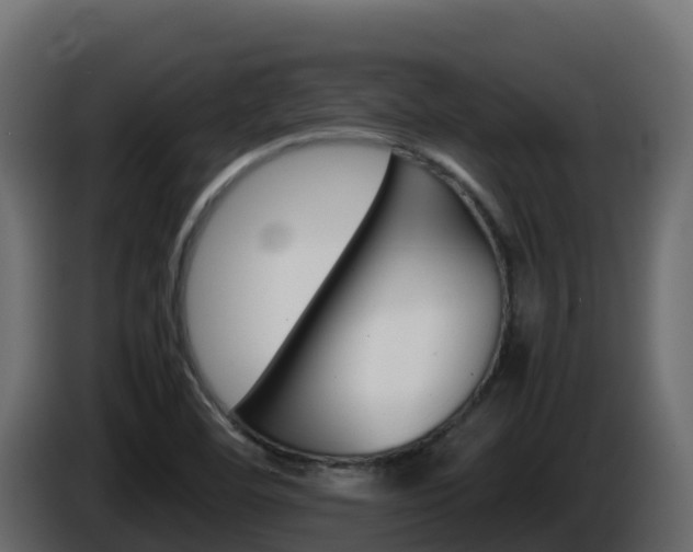 X0000086031460200703230944