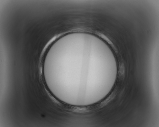 X0000086031462200703230944