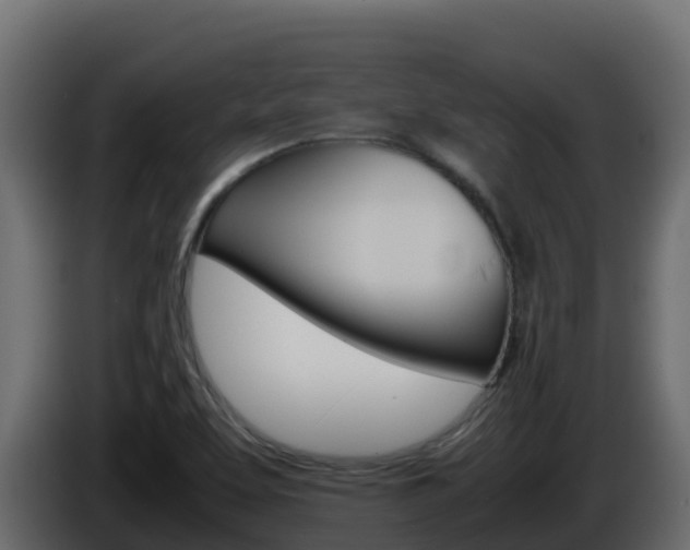 X0000086031463200703230944