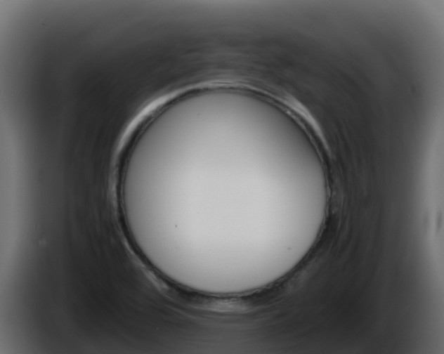 X0000086031464200703230944