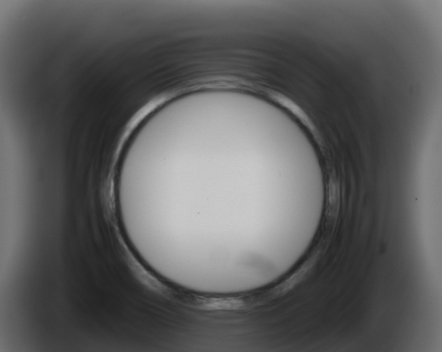 X0000086031466200703230944