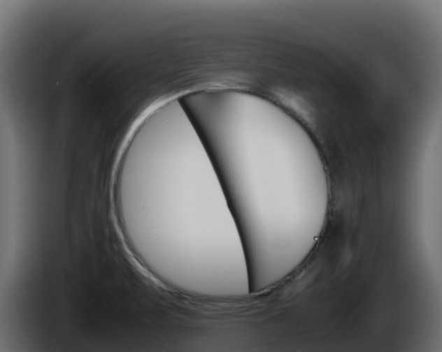 X0000086031471200703230944