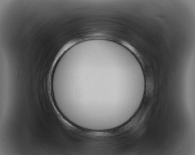 X0000086031474200703230944