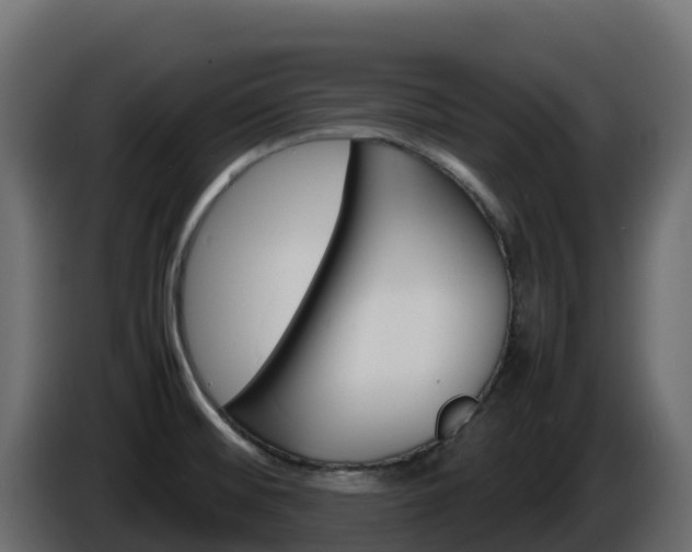 X0000086031476200703230944
