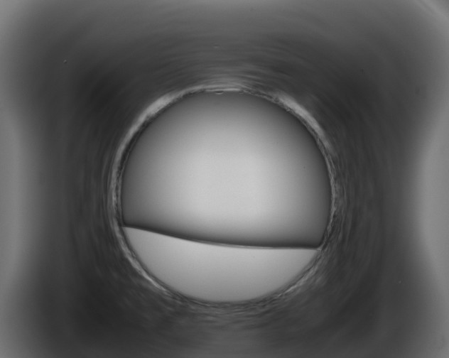 X0000086031477200703230944