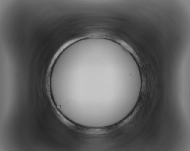 X0000086031478200703230944
