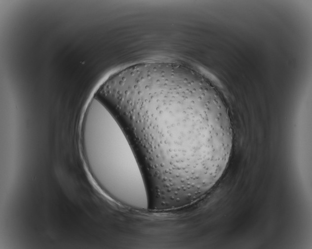 X0000086031479200703230944