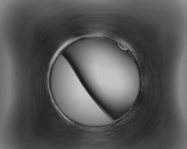 X0000086031480200703230943
