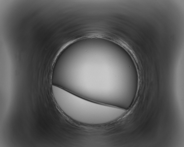 X0000086031481200703230943